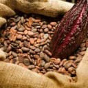 Cocoa price change by Easter?