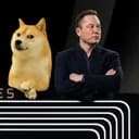 Musk's Memory Wipe: Will Evidence of Document Destruction Surface?