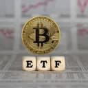 Will Bitcoin ETFs Set a New Single-Day Net Inflow Record Before Mar 1, 2026?