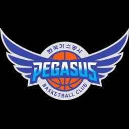 Daegu Pegasus